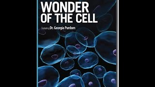 Wonder of the Cell  Dr Georgia Purdom [upl. by Adelpho571]