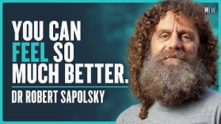 How To Beat Stress amp Improve Your Quality Of Life  Dr Robert Sapolsky [upl. by Eelirrem229]