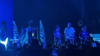 Dimitri  Hiatus Kaiyote Live at Brooklyn Paramount [upl. by Autry984]