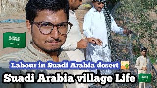 Labour life in saudi arabia Work in Desert 🏜️ [upl. by Ayo469]