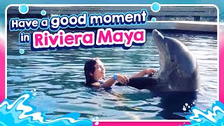 Swim with dolphins in Riviera Maya México l Delphinus [upl. by Shawn492]