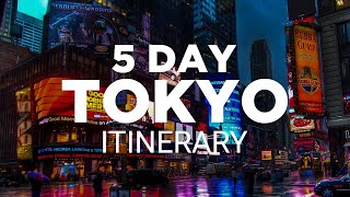 Tokyo FiveDay Itinerary  Your Perfect Travel Guide For a 5 Day Trip [upl. by Kcirret]