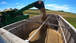 John Deere 9500 combining oats [upl. by Aicineohp]