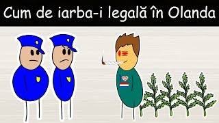 De Ce Este Iarba Legală În Olanda  DLJ6 [upl. by Richter695]