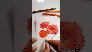 Easy Watercolor Pencils PoppiesHow To Activate Watercolor Pencils trending art flowers doms [upl. by Primaveria]