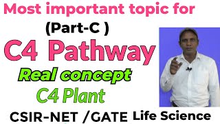 C 4 plant l Photosynthesis for CSIRNET l Dark reaction l Photosynthesis for GATE exam I C4 cycle [upl. by Bannasch]