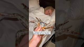 She jumped outta bed 🤣 crabs animals mom [upl. by Nalod]