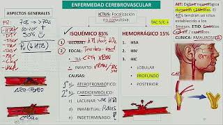 Neurología  Enfermedad cerebrovascular [upl. by Georgi799]