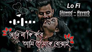 Jani Na Ki Kore Ami Tomake Bojhai Lyrics  জানি না কি করে আমি তোমাকে বোঝাই  SlowedReverb  Lofi [upl. by Broadbent]