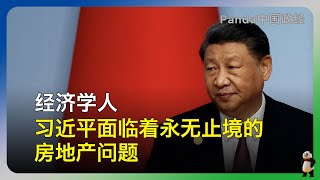 经济学人：中国房地产危机导致更多企业受害，未售出房产造成资产负债表衰退｜习近平面临着似乎永无止境的房地产问题，法拍房却很少受到关注，这令人惊讶 [upl. by Enelrad]