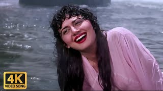 Koyaliya Gati Hai 4K Song  Kirti Singh  Anuradha Paudwal Song  Jungle Love [upl. by Brendis]