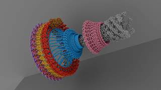 Bacterial flagellar motor MS and Cring with MotAB rod and LPring in CCW and CW state  movie [upl. by Urina843]