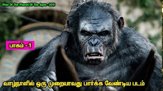 சாகும் முன் பார்க்கவேண்டிய படம்  Tamil Hollywood Times  Tamil Dubbed  Movies Review In Tamil [upl. by Pasia184]