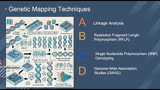 ECOM 6349  Student Participations  Genetic Mapping [upl. by Savick]