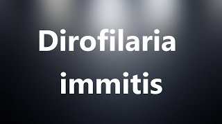 Dirofilaria immitis  Medical Meaning and Pronunciation [upl. by Dnalloh]