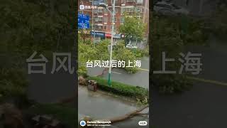 Shanghai Typhoon Destruction [upl. by Uliram]