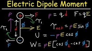 Electric Dipole Moment Force Torque Potential Energy Work Electric Field Physics [upl. by Etienne639]