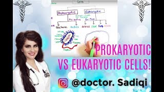 BASICS OF PROKARYOTIC AND EUKARKOTYIC CELLS EXPLAINED UNDER 7 MINUTES [upl. by Son]