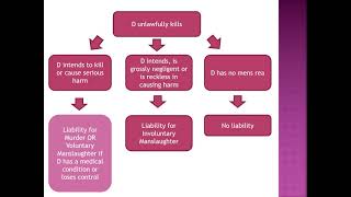 Voluntary Manslaughter [upl. by Assyn]