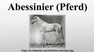 Abessinier Pferd [upl. by Cerelia774]