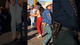 Alacrán tumbando caña shortvideo funnyvideo shortsfeed baile videoviral [upl. by Eatnohs764]