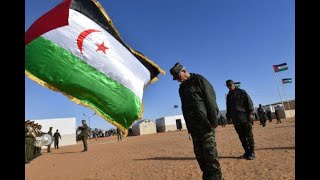 polisario Front Marks 4th Anniversary of Its quotWarquot Against morocco in Tindouf Camps [upl. by Annahsor842]