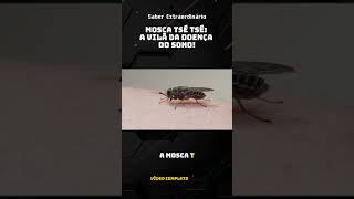 Mosca Tsé Tsé A Vilã da Doença do Sono [upl. by Even]