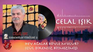 Celal Işık  Hey Ağalar Böyle Molur Gül Dikensiz Bitmez imiş [upl. by Quint993]