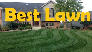 A Lawn That Looks Better Than Mine VLOG 1 [upl. by Schreib]