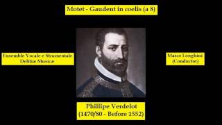 Phillipe Verdelot 147080  Before 1552  Motet  Gaudent in coelis a 8 [upl. by Velma]