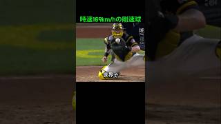 時速171kmhの球を投げる投手（MLB アロルディス・チャップマン） [upl. by Irim]