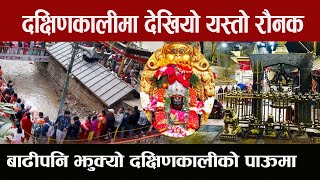 दसैंमा दक्षिणकाली माता शक्ति केही हल्लाउन सकेन बाडीले Dxakshikali Mandir [upl. by Notlad]