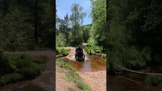 eTrike all terrain wheelchair stream crossing [upl. by Enimzaj]