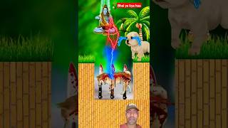 🧟🔱Jay Bholenath 🙏👍Shive Tandav om namah shivahshirtvideo shorts namah jyotirmath shivatandava [upl. by Ashraf514]