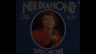 Sweet Caroline KARAOKE by NEIL DIAMOND  lucien depuydt karaoke [upl. by Ilona]