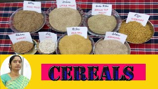 CEREALS [upl. by Yelnoc]