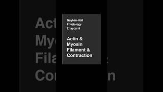 GuytonHallPhysiologyChapter 6Actin amp Myosin Filament amp Contraction [upl. by Capwell397]