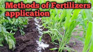 Methods of Fertilizer Application  How to apply fertilizers  BroadcastingFertigationPlacement [upl. by Aviv]