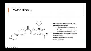 Med Chem Palbociclib [upl. by Cleo]