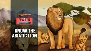 Know The Asiatic Lion  EPICPEDIA  Exclusive Video  Ep 7  Epic Digital Originals [upl. by Fortunato]