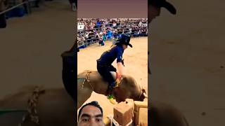 Woow bull rider tough and strong💪💪💪 cowboys bullfight bullrider [upl. by Willi94]