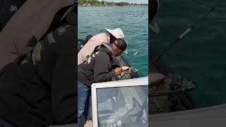 Saint Clair River Walleye fishing [upl. by Gunzburg]