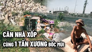 Người đàn ông sống bên lề đường cùng với cả Tấn Xương đã Bốc Mùi [upl. by Tai]