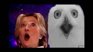 Hillary Clinton jacksonian seizure [upl. by Skrap]