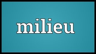 Milieu Meaning [upl. by Nivlen]