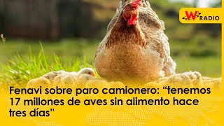 Fenavi sobre paro camionero “tenemos 17 millones de aves sin alimento hace tres días” [upl. by Efram]