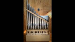 Tourdion Pierre Attaingnant played with Crumbhorn Portativ Organ and Synthesizer [upl. by Kendra113]