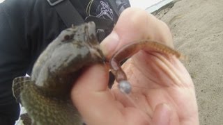 Rockfishing dans le Finistère [upl. by Adlai]