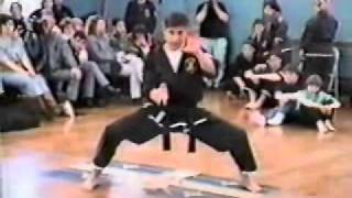 Kenpo Top Ten 1994 Kata Jose Vinciarelli [upl. by Carley]