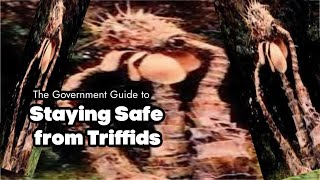 The Government Guide to Staying Safe from Triffids [upl. by Kevon629]